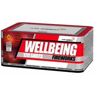 Батарея салютов Maxsem МС127 Wellbeing Fireworks / Фейерверк благополучия (0,8