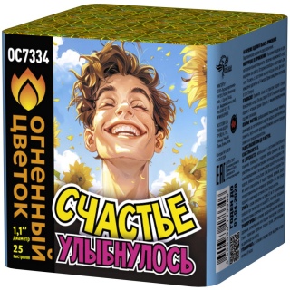 Батарея салютов Огненный цветок ОС7334 Счастье улыбнулось! (1,1